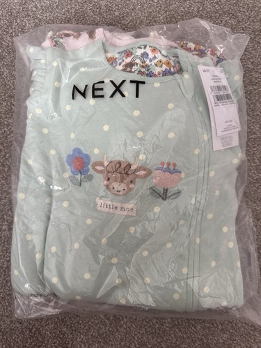 Bnwt next baby girls 6 - bnwt, 3-6